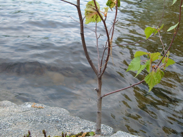 2007-05-27_0034
