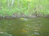 2007-05-27_0036
