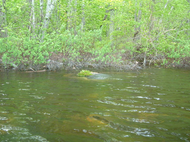 2007-05-27_0036