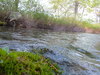 2007-05-27_0037