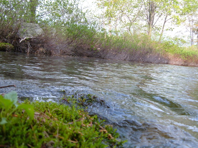 2007-05-27_0037