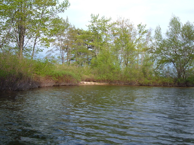2007-05-27_0038