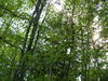 2007-05-27_0039