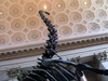 2007-06-11_0003