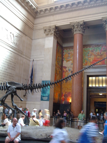 2007-06-11_0006