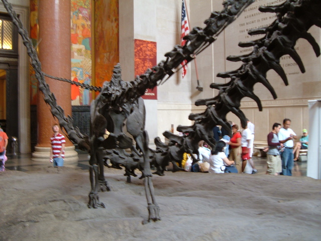2007-06-11_0007