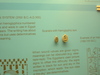 2007-06-11_0008