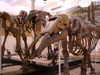 2007-06-11_0010