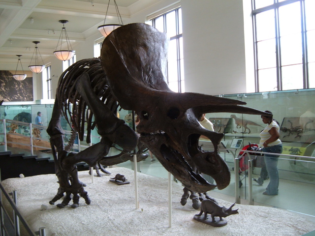 2007-06-11_0018