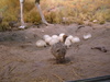 2007-06-11_0021
