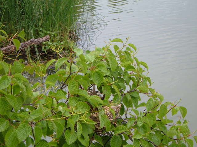 2007-06-11_0032