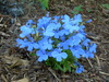 2007-06-19_0008