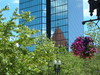 2007-06-21_0015