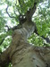 2007-06-21_0064