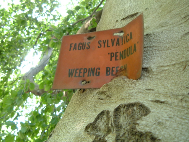 2007-06-21_0065