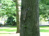 2007-06-21_0073