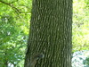 2007-06-21_0074