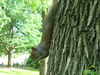 2007-06-21_0075