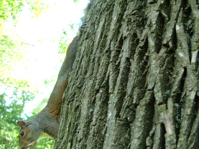 2007-06-21_0076