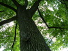2007-06-21_0077