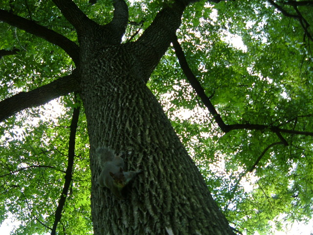 2007-06-21_0077