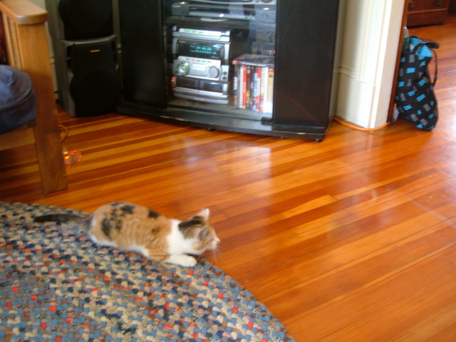 2007-06-21_0086