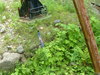 2007-07-04_0034