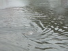 2007-07-05_0002