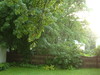 2007-07-05_0004