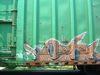 2007-07-06_0016
