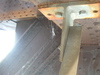 2007-07-06_0020
