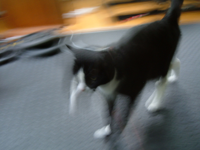 2007-07-13_0001