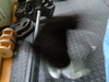 2007-07-13_0002