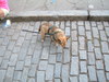 2007-07-29_0039