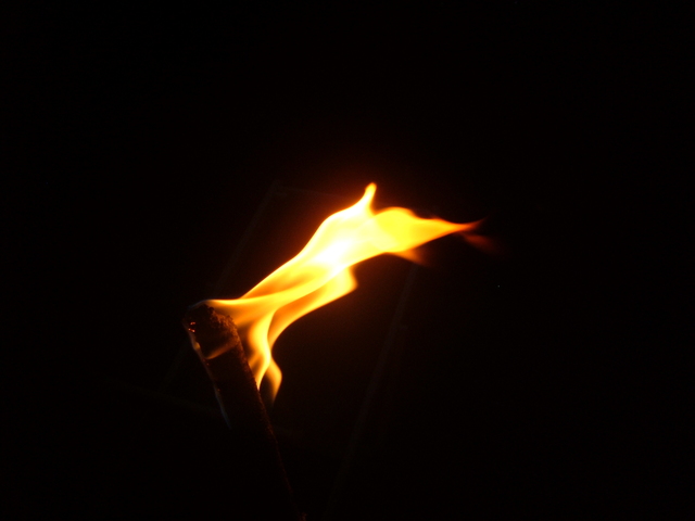 2007-08-04_0044
