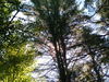 2007-08-05_0023