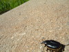2007-08-05_0034