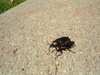 2007-08-05_0036
