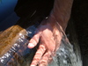 2007-08-05_0041