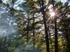 2007-08-05_0043