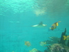 2007-08-14_0005