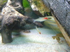 2007-08-14_0009