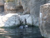 2007-08-14_0020