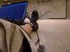 2007-08-17_0001