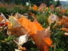 2007-10-06_0004