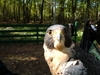2007-10-14_0008