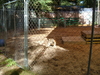 2007-10-14_0009