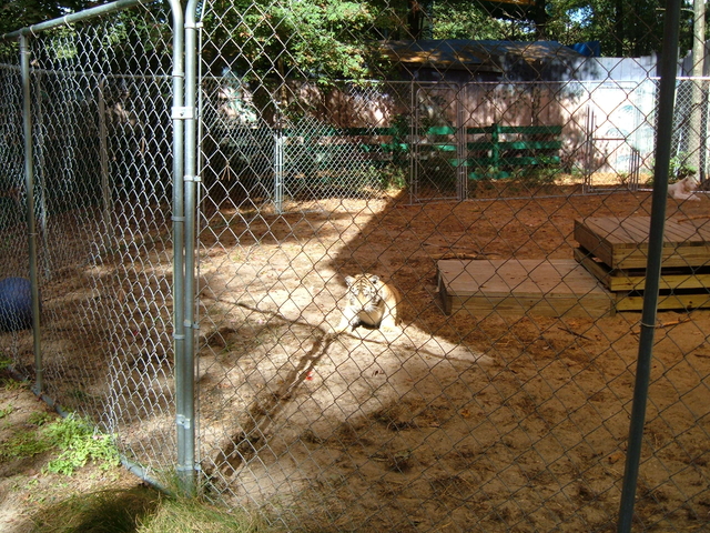 2007-10-14_0009
