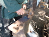 2007-10-14_0015