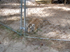 2007-10-14_0039